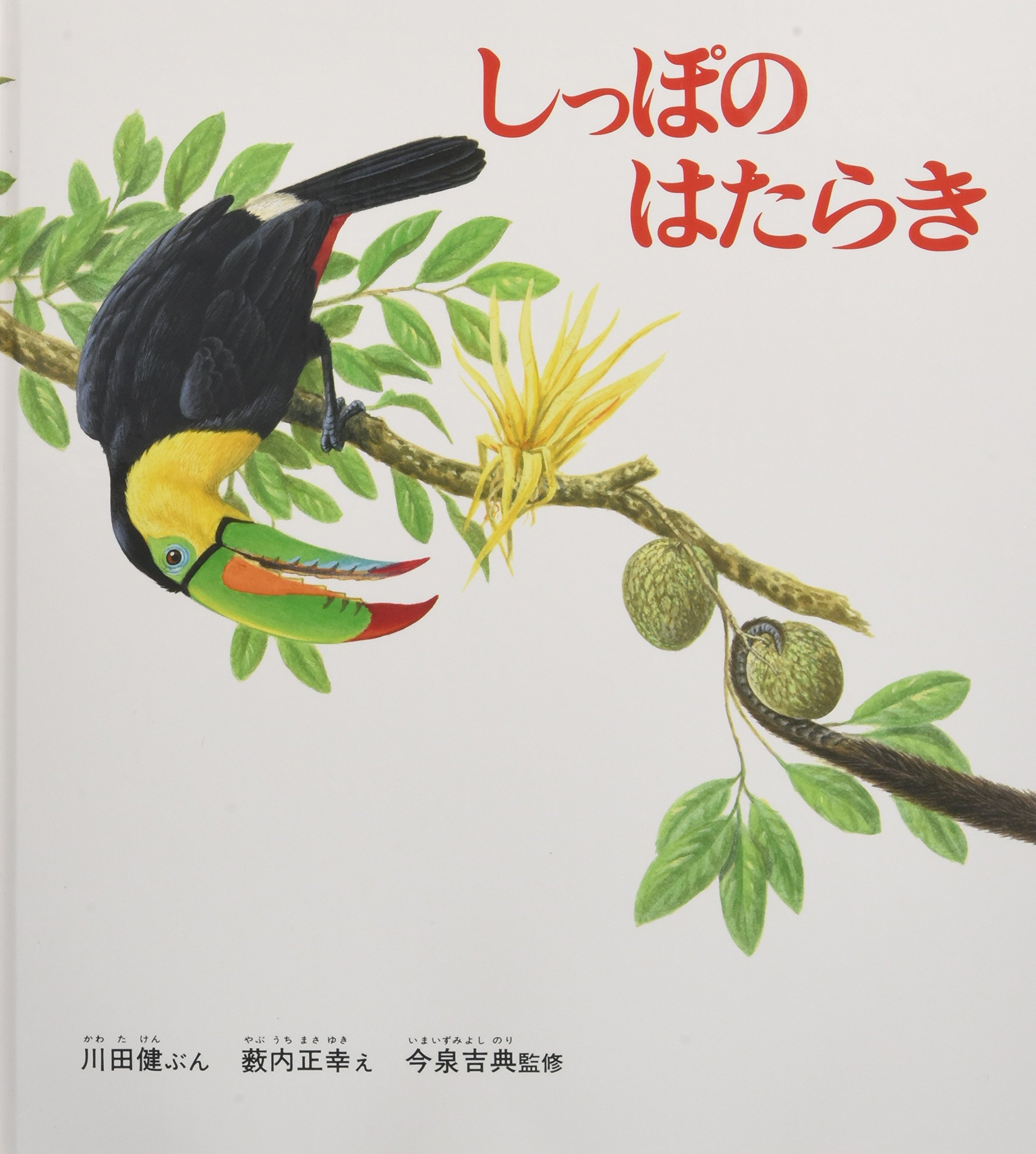 Amazon.co.jp: しっぽのはたらき (かがくのとも絵本) : 川田 健, 薮内